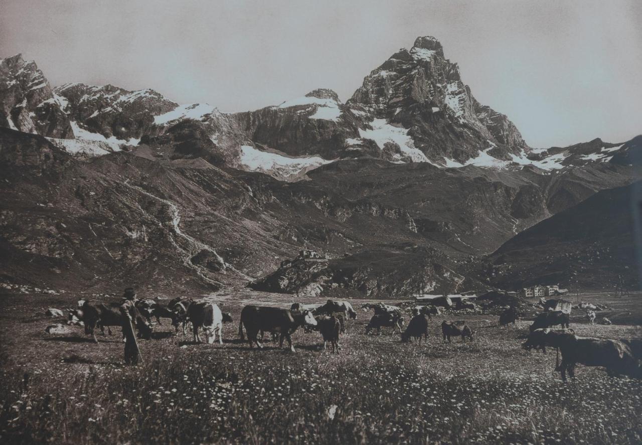 Hotel Meuble' Joli Breuil-Cervinia Dış mekan fotoğraf